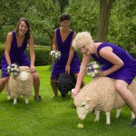 Gloucestershire wedding photographer, Simon young's, pictures of, Rococo Gardens outdoors wedding.